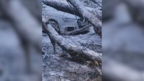 Над 80 сигнала за паднали дървета и прекършени клони са получили в пожарната в Пловдив