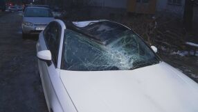 „Истинско чудо е, че няма жертви“: Опасно дърво, игнорирано с години, се стовари върху коли в Пловдив