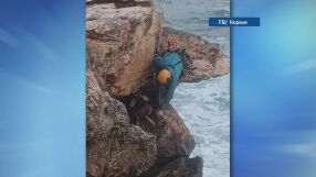 Спасителната акция на скалите край Шабла: "Спусна се, върза козата. Ние с колегите успяхме да я издърпаме" 