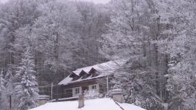 Мистерията „Петрохан“: Разпоредиха проверка на неправителственото сдружение