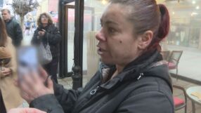 Поредно масово отравяне на животни: "Изсипват се кучета с бусове. Раждат постоянно. Бебетата се изхвърлят по кошовете"