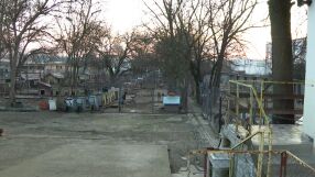 Случай на изключително опасно и заразно заболяване по кучетата затвори приют 