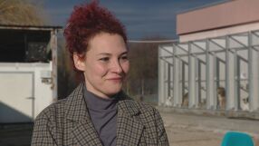 „БезДОМен или ДОМашен? Ключът е в теб!“: QR код показва цялата история на кучето