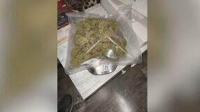 С помощта на отряд „Кобра“ е разбита група за производство и разпространение на дрога (СНИМКИ и ВИДЕО)