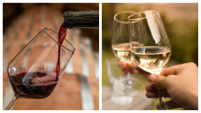 И най-евтиното вино става перфектно с този лесен трик (ВИДЕО)
