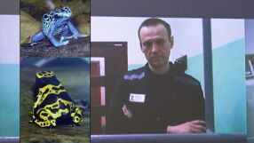 Две години след смъртта на Навални: Западът обвини Кремъл за убийството му с отрова от жаба