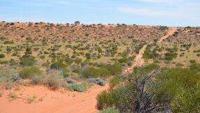 Единствената страна в света с пустиня и тропическа дъждовна гора