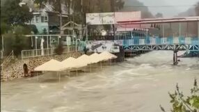 Паднали дървета и съборени бетонни огради: Мощни бури в Турция