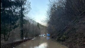 Проливни дъждове активираха свлачища в Смолянско: "Дерета се стичат като реки по пътя"