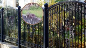 92-годишна жена прескочи ограда на старчески дом, но не за да избяга (СНИМКИ)