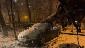 Хаос в Австрия и Румъния: Над 200 000 домакинства без ток заради снежни бури