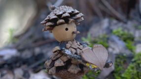 Подадена ръка: „Малки чудатковци“ събират пари за бездомни животни