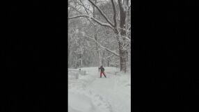 Нюйоркчани карат ски в Сентрал Парк след обилните снеговалежи (ВИДЕО)