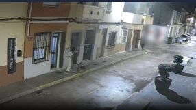 Четирима опитали да отвлекат жена, кучето осуетило нападението (ВИДЕО)