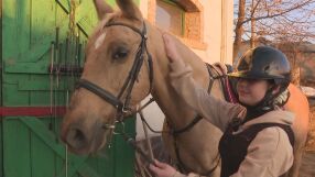 Едно необичайно приятелство: Йони и нейния кон Приказка 