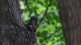 Температури до 26 градуса през март: Какво време ни очаква?