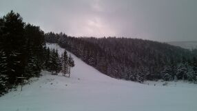 Мальовица преминава към 100% зелена енергия