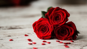 Ергенът напуска сезона, защото се е влюбил!