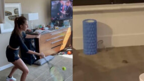 Мишки тормозят карантинираните тенисисти в Мелбърн (ВИДЕО)