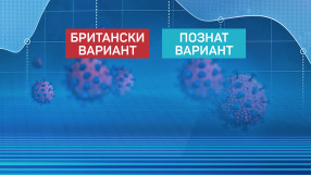 Симптоми на вариантите на COVID-19: При британския по-рядко се губи обоняние и вкус