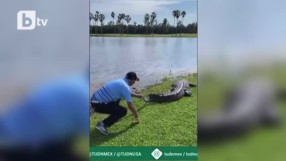 Стоичков хвана алигатор за опашката (ВИДЕО)