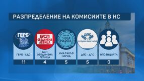 Поредната ябълка на раздора в НС се оказаха парламентарните комисии