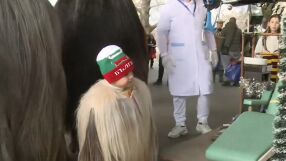 Кукерски звън и пъстри костюми: Фестивалът на сурвакарските игри започна в Благоевград