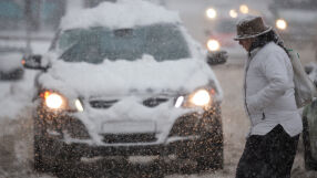 Жена загина, след като над 10-метров бор падна върху нея в Сараево