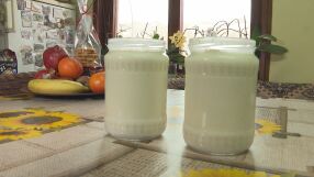 „Само да го опитат и ще решат“: Българското кисело мляко отново кандидатства за ЮНЕСКО