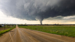 Вятър със 154,5 км/ч повали дървета в Гърция и преобърна самолети, торнадо хвана движещ се автомобил (ВИДЕО)