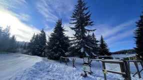 И във вторник ще е студено, но от средата на седмицата започва затопляне