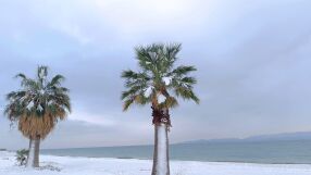 Сняг, заледявания и силни ветрове: Опасни условия за пътуване, Гърция затваря училище (СНИМКИ, ВИДЕО)