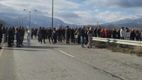 След удар: Кон се врязва в купето на кола, в която загива 18-годишно момиче, съдят виновните 