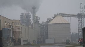 Властта е на инспекция в дървопреработващото предприятие във Велико Търново