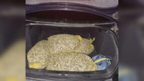 Задържаха бракониер с незаконен улов на бяла мида, осуетил полицейска проверка