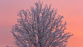 Опасно студено време днес в цялата страна