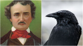 Едгар Алън По ~ Всичко това, което виждаме, е сън в съня (СНИМКИ)