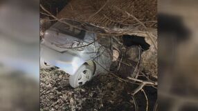 Директорът на Национален парк „Рила“ e катастрофирал, дрегерът е отчел 2,3 промила алкохол и марихуана