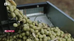 Сделката с Меркосур - „нов пазар за 300 милиона“: 344 европейски храни и продукти са "защитени", сред тях и 3 български