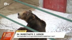 Очаква се февруари да е по-студен от обичайното: Как животните в единствения у нас зоопарк без такса понасят зимата?