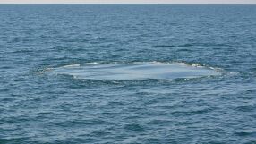 Откриха гигантска дупка в океана, пълна с мистериозни вируси 