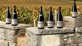 Най-скъпите вина в света и кой всъщност ги купува