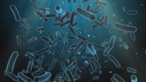 Ръст на антибиотичната резистентност у нас: Какъв е отговорът на държавата?