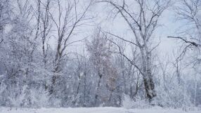 Облачно и дъждовно днес, на места почти цял ден ще вали сняг