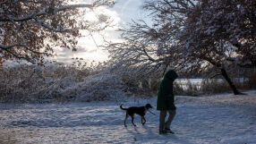 Февруари ни посреща със сняг, студ и поледици