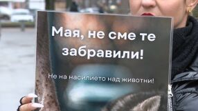 Прегазеното куче Мая: Протест пред ВМА настоява д-р Цоневски да бъде отстранен от работа
