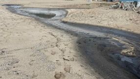 Хотел замърси с мазут варненския плаж "Кабакум" (СНИМКИ)