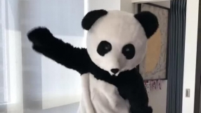 Пандата на Евра празнува титлата с 