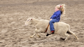 Мисъл на деня от Робърт Болт