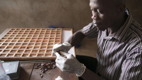 Фирми за шоколад - по-богати от страните производителки на какао